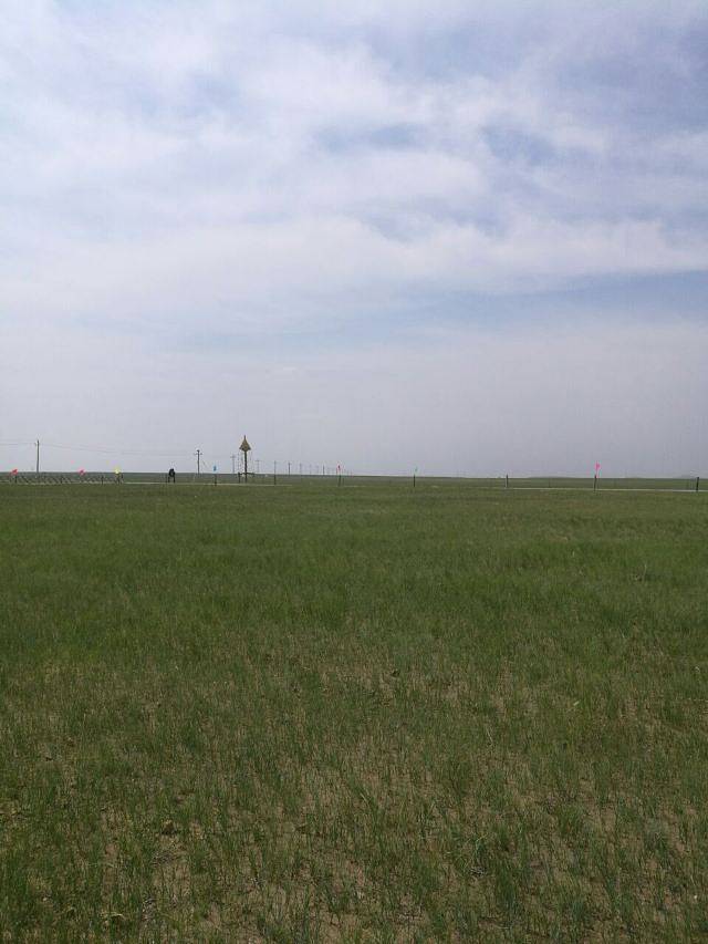 锡林郭勒盟草原