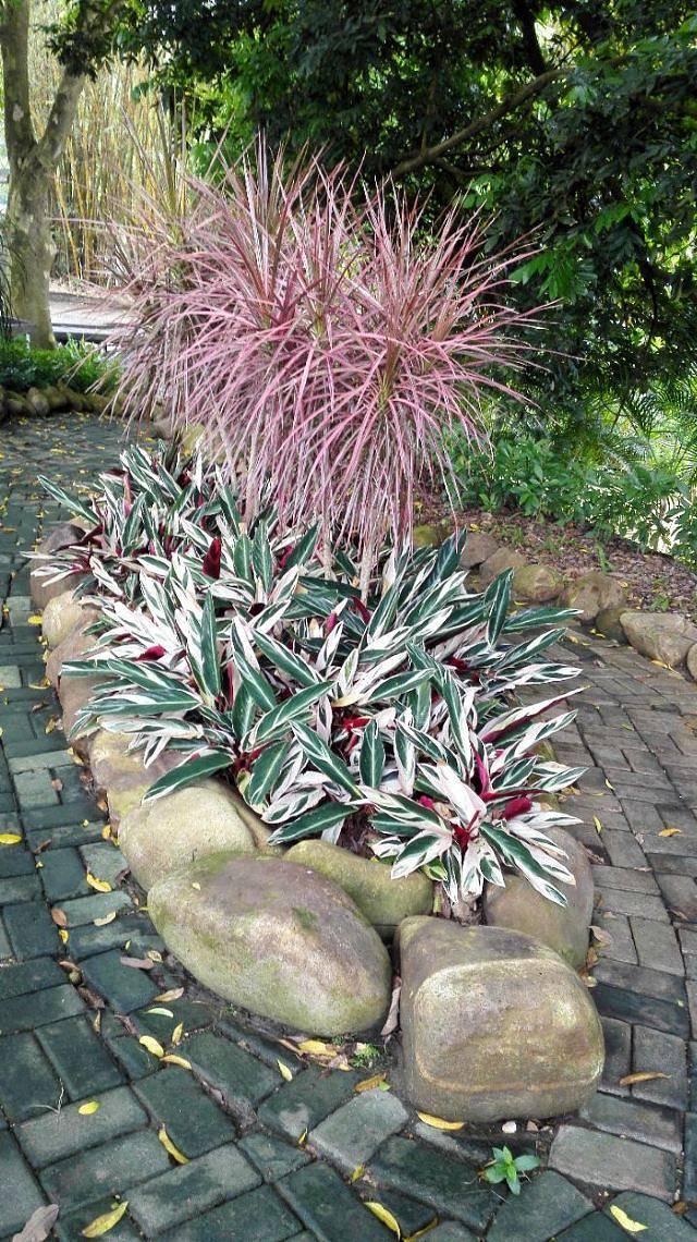 广西药用植物园