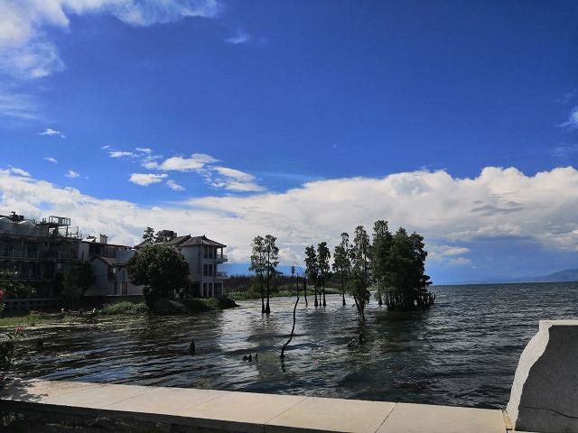 只是想看看洱海,所以我沿着环海西路,导航小邑庄村码头,吹吹海风,摸摸