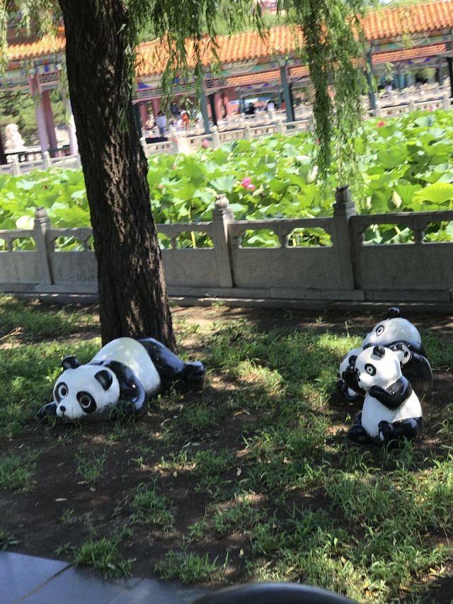 南戴河国际娱乐中心