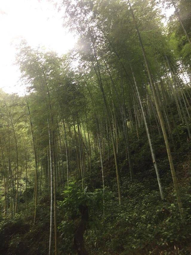 九宫山银河谷漂流