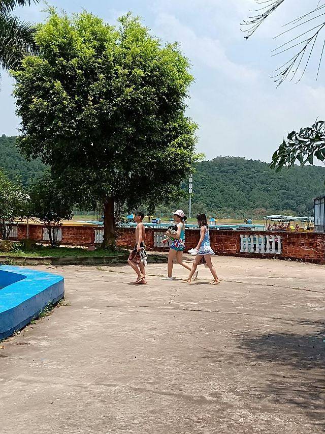 龙涛湾森林动感水城