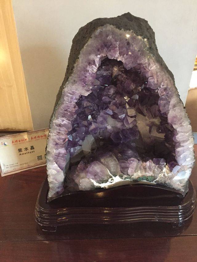 森晖自然博物馆