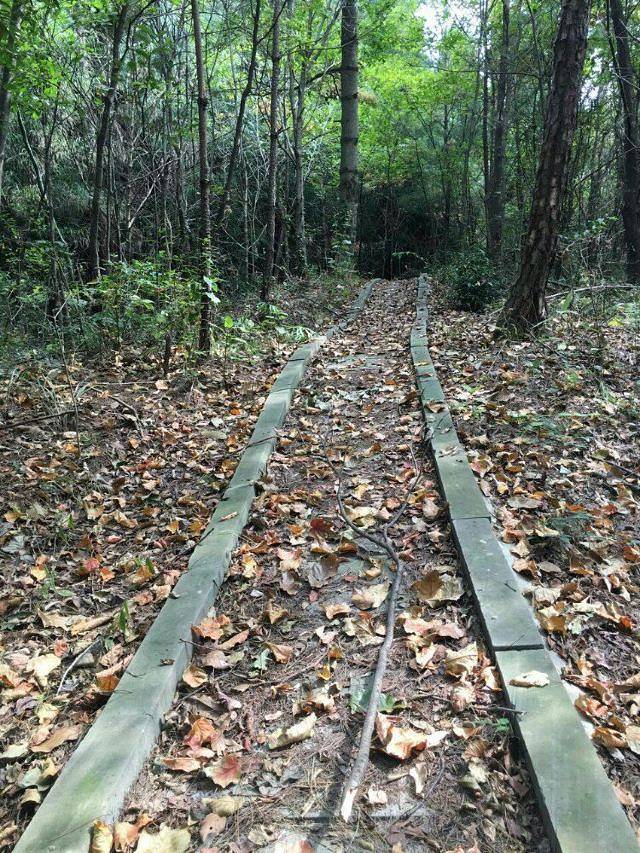 广元天曌山旅游风景区