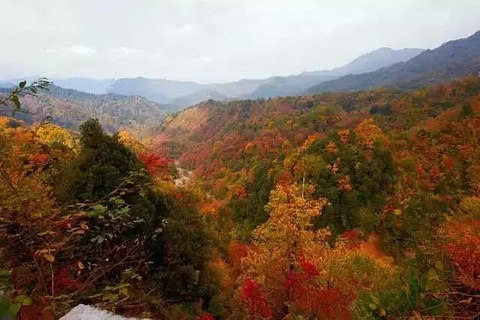 光雾山旅游景区旅游景点攻略图