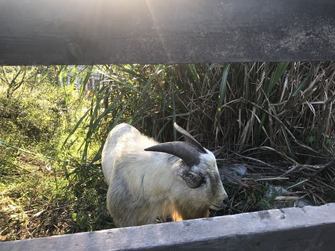 基湖沙滩旅游景点攻略图