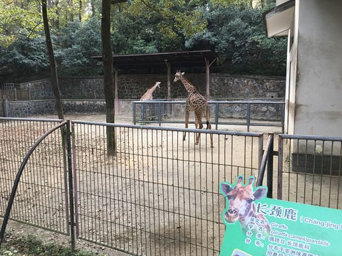 杭州动物园旅游景点攻略图