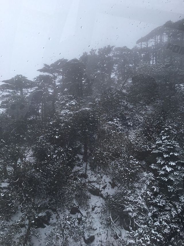 "_洗马潭大索道"的评论图片