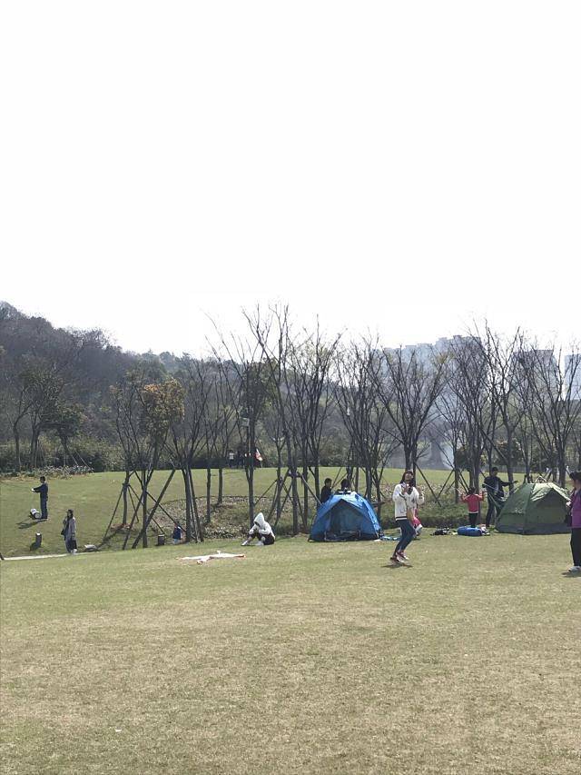 镜湖国家城市湿地公园