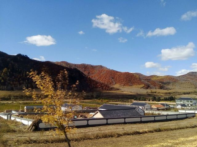 御道口草原森林风景区