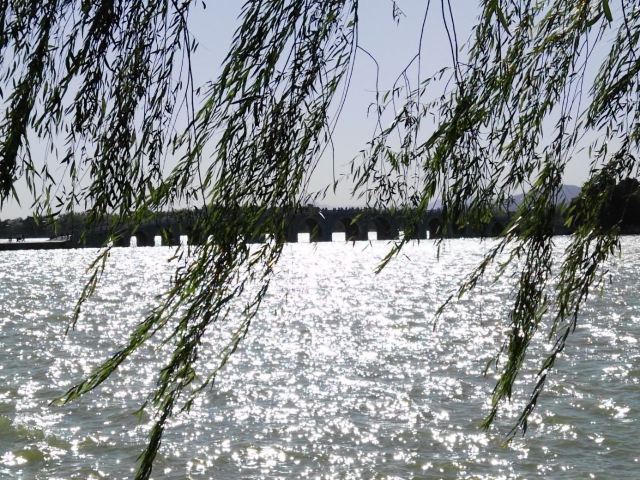 皇家御河(紫御湾码头)