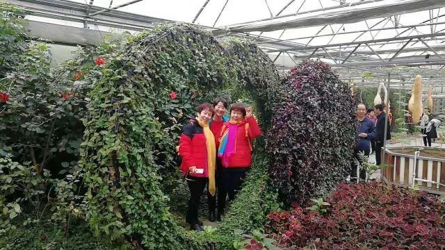 万紫千红旅游区