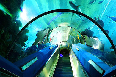 【广东周边游】五星级广州万达希尔顿酒店希尔顿豪华大床房  广州海洋