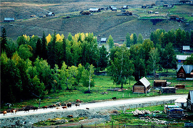 五零经典a线:天池,石河子,吉木乃口岸,喀纳斯,禾木村,白哈巴7日游