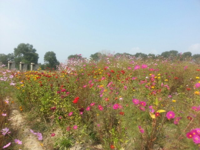 桑干古道乌龙峡