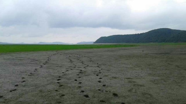 龙凤山风景名胜区