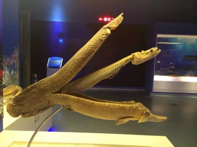 金石滩生命奥秘博物馆