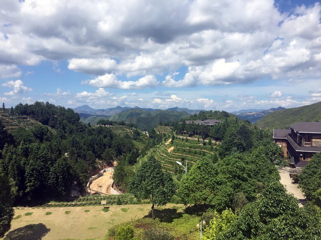 华祥苑茶庄园(珠塔村店)