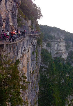 天门山国家森林公园-鬼谷栈道旅游景点攻略图