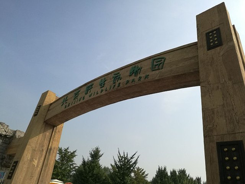 巨蟒出山旅游景点攻略图