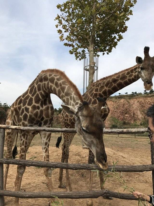 青山秀水旅游度假区