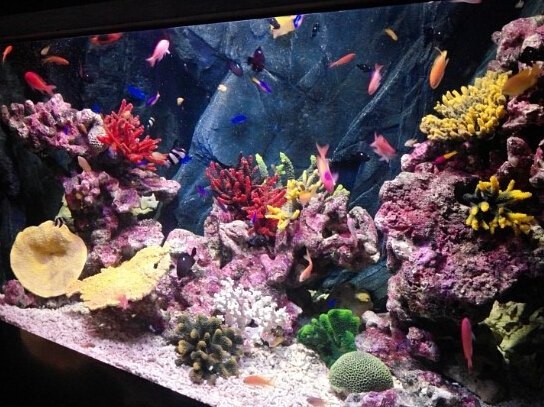 一山Aqua Planet水族馆