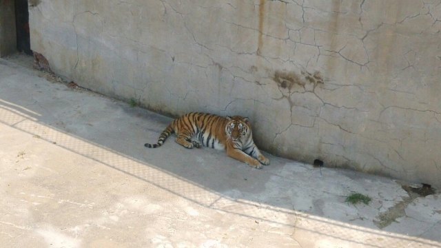 跑马岭生态休闲度假区