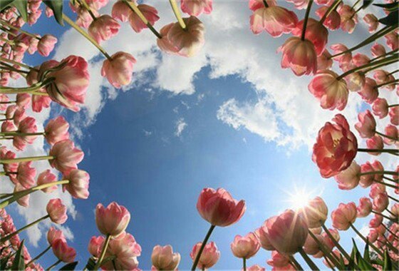 千鹤岛旅游风景区