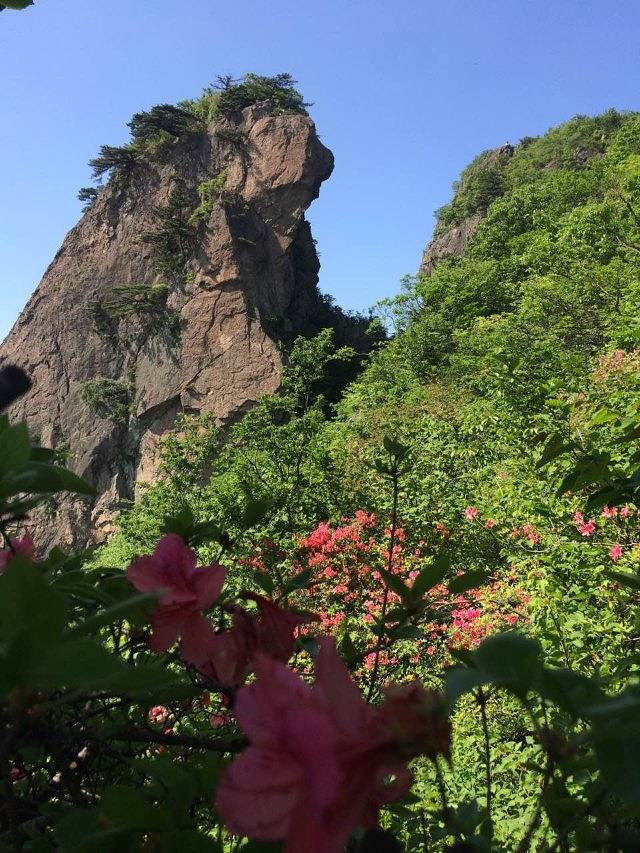 金刚台猫耳峰景区