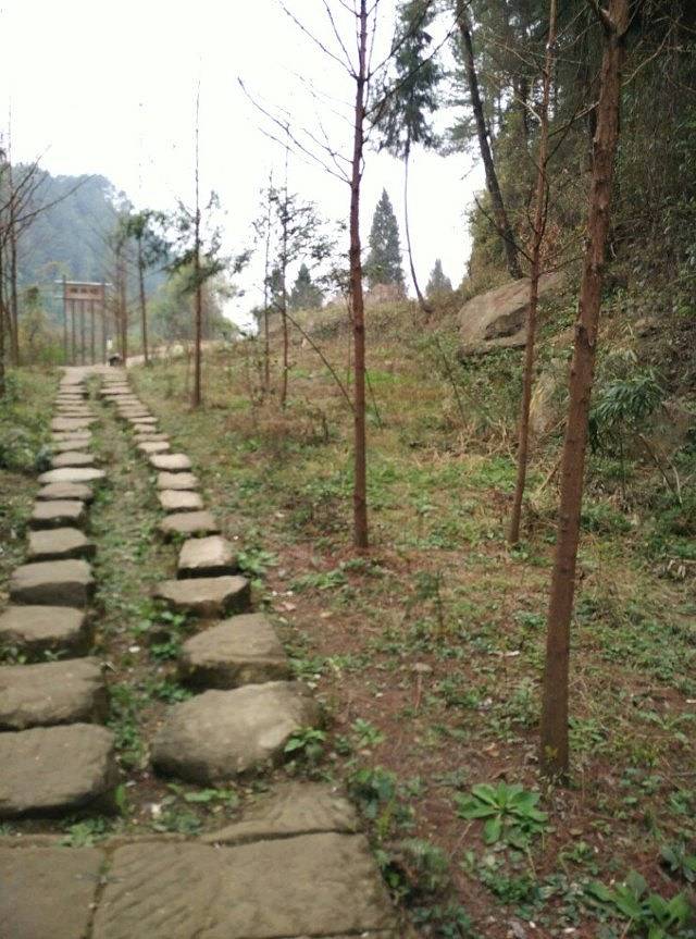 巴中章怀山旅游区