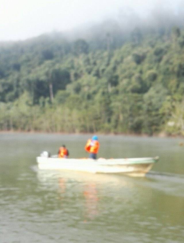 南腊河野趣营地