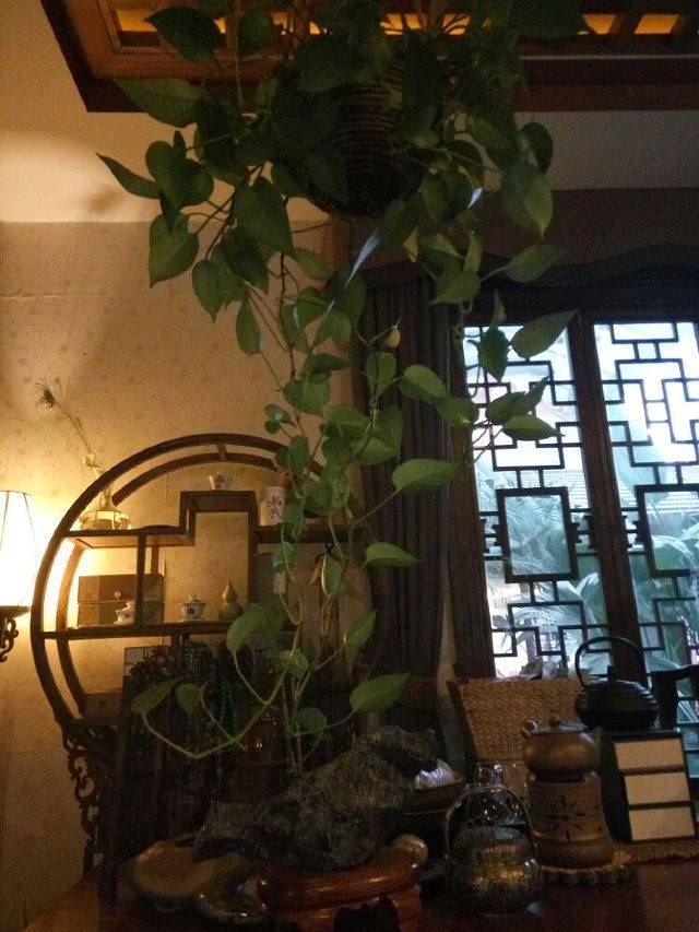 广饶华泰孙武湖温泉度假区