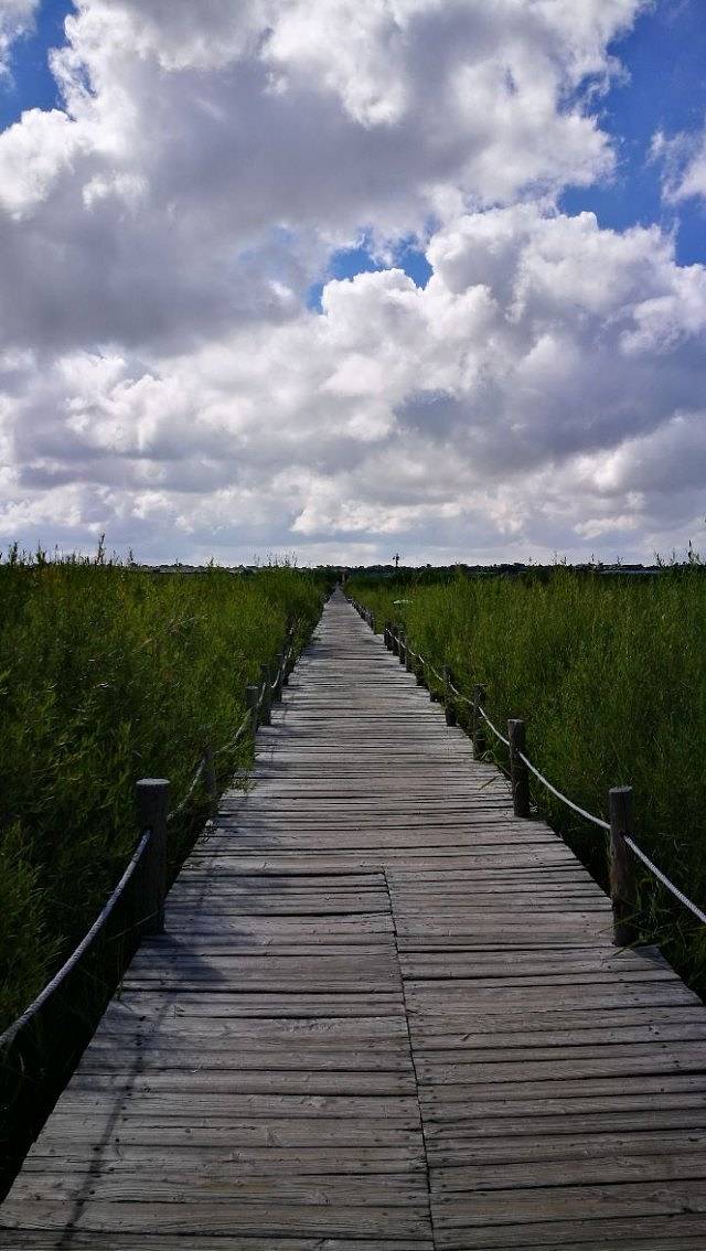 达里湖南岸景区