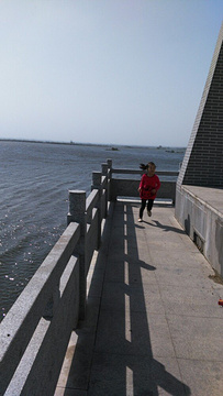 焦岗湖国家湿地公园旅游景点攻略图