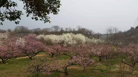 寿县八公山风景区旅游景点攻略图