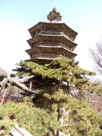 "戒台寺的丁香花和牡丹花很有名，不是花开时节，没看到香雪海的美景，牡丹院也锁着院门不让进_戒台寺"的评论图片