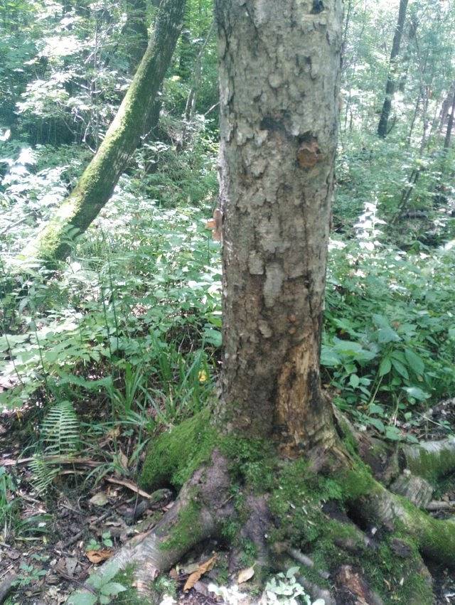 日月峡水伊方水上乐园