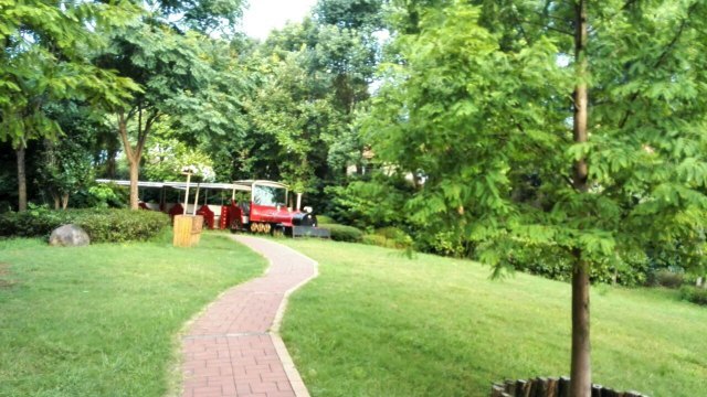 清水湾水上大世界