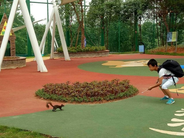 光明松鼠谷主题乐园