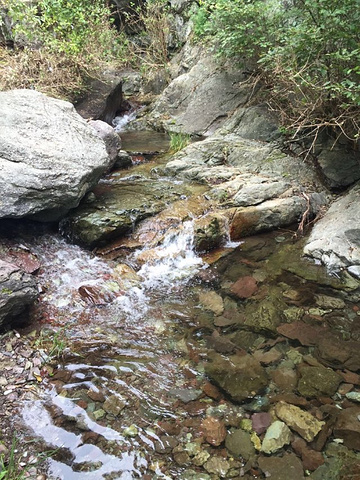 "景区景色还好，水量也还不错，到处流水潺潺。遗憾的是时间关系，那能走到最远端_双龙峡"的评论图片