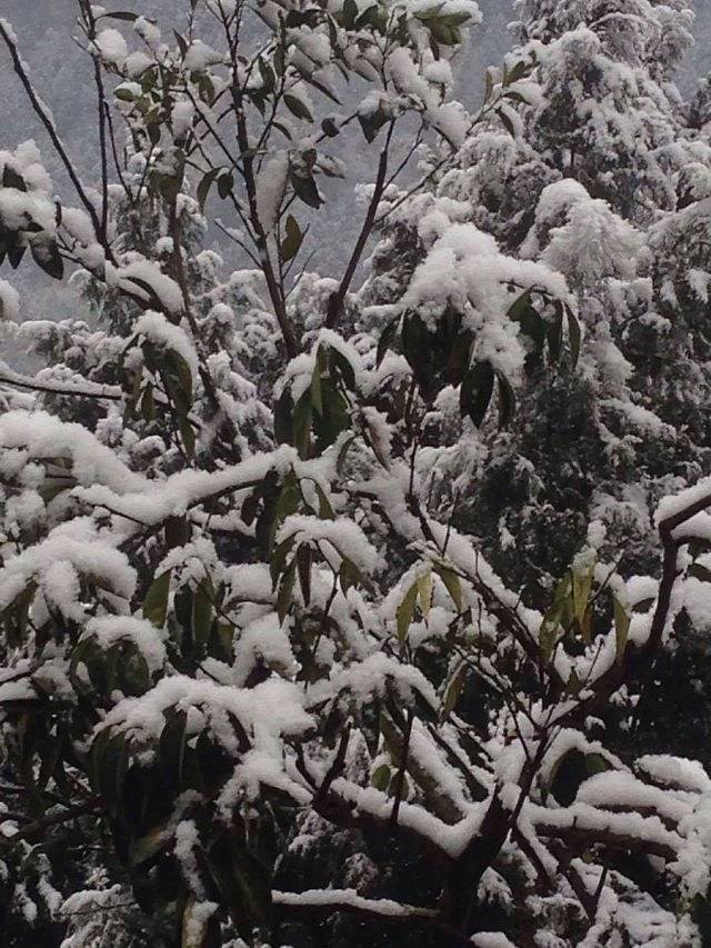 巴中章怀山旅游区