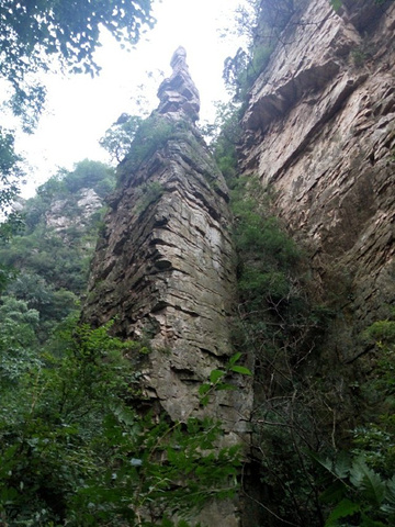 "到此一游不后悔；美景佳境任我找。蜿蜒崎岖拾阶上，石林峽，景色美，石林峽，景色好，不虚此行来一趟_石林峡"的评论图片