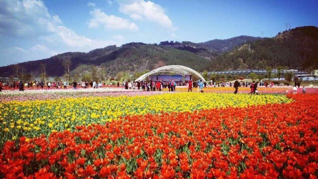 黄龙壹号生态园