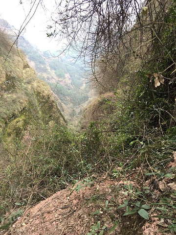 "_九峰山风景区"的评论图片