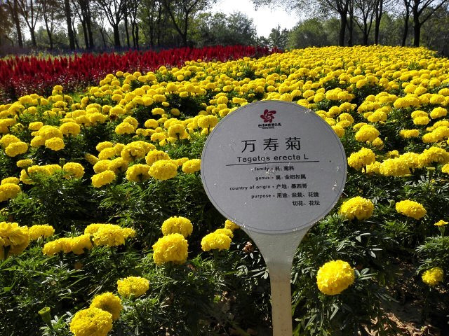 "...花和秋果的海洋，处处好风光，让人心情舒畅、心旷神怡，空气非常好，有孩子喜欢的喂小动物和游艺项目_怪石洞"的评论图片