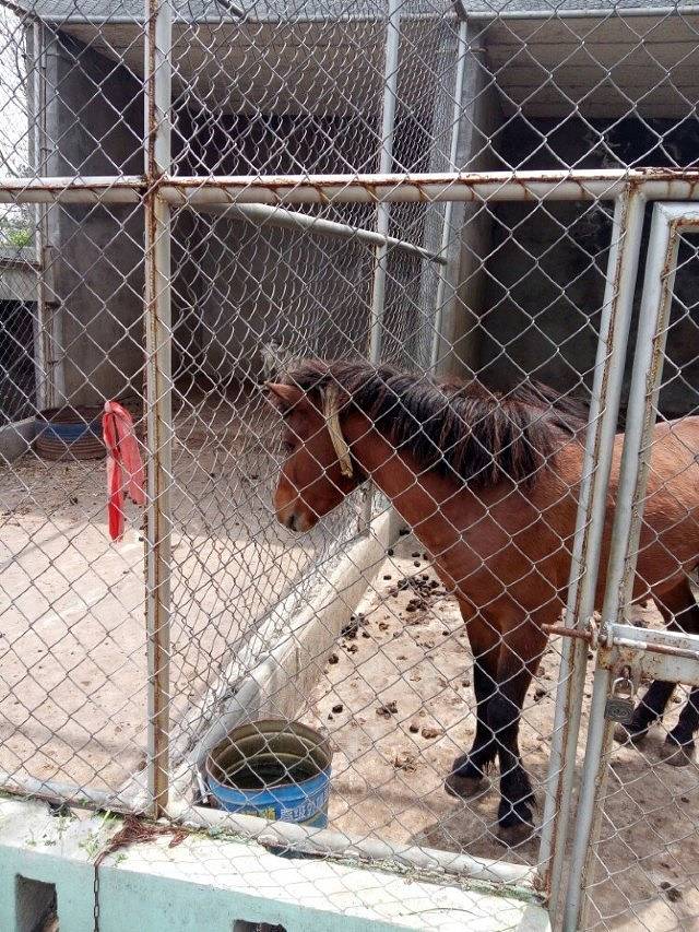 华东百畅生态休闲度假园