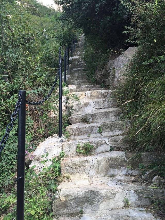 小秦岭地质公园