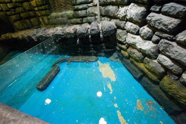 连云港海底世界