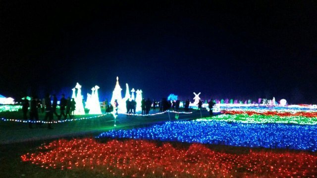 森林河趣那主题公园