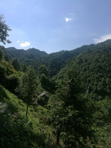 "由于夏天天气酷暑炎热，越往上走越累，不一会儿，已是汗流浃背了到了高处往下看，山谷两侧，处处是断崖绝壁_华东大裂谷"的评论图片